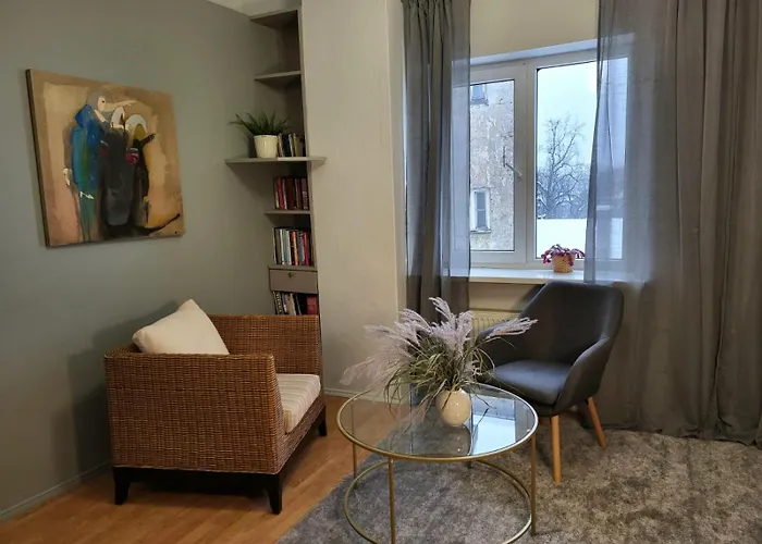 River View, Next To Castle! 公寓 里加